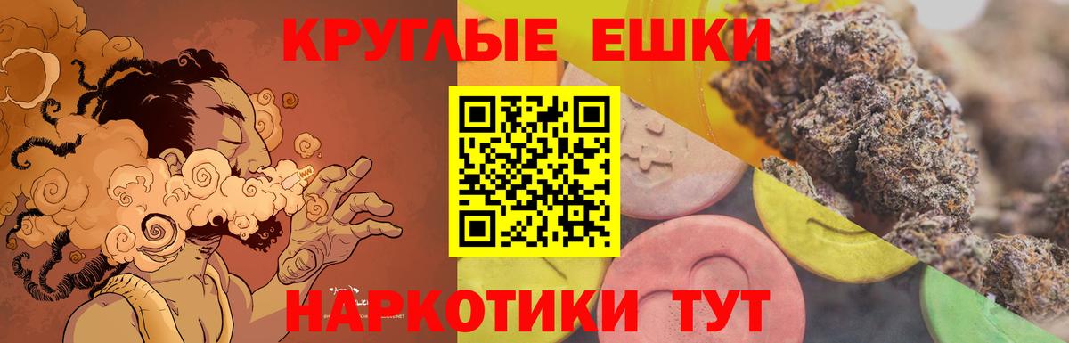 Ecstasy  Экстази Philipp Plein  Вход с VPN  Коркино 